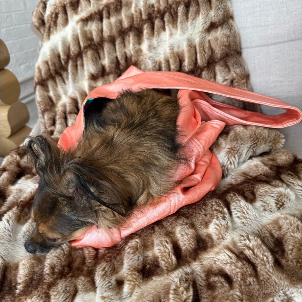 FANG & BONE faux leather cross body sling pet carrier